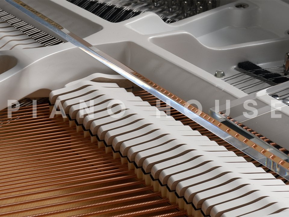 KAWAI CRYSTAL CR-45 - Ảnh thực tế 8